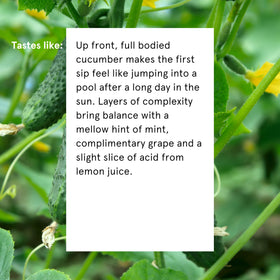 Something & Nothing full-flavoured water ingredients label signals natural taste.
