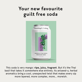 Something & Nothing Mango Thai Basil sparkling water can highlights Thai basil notes for a unique flavor lift.