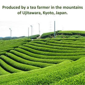 SONO Hojicha latte topping adds color and smoky notes.