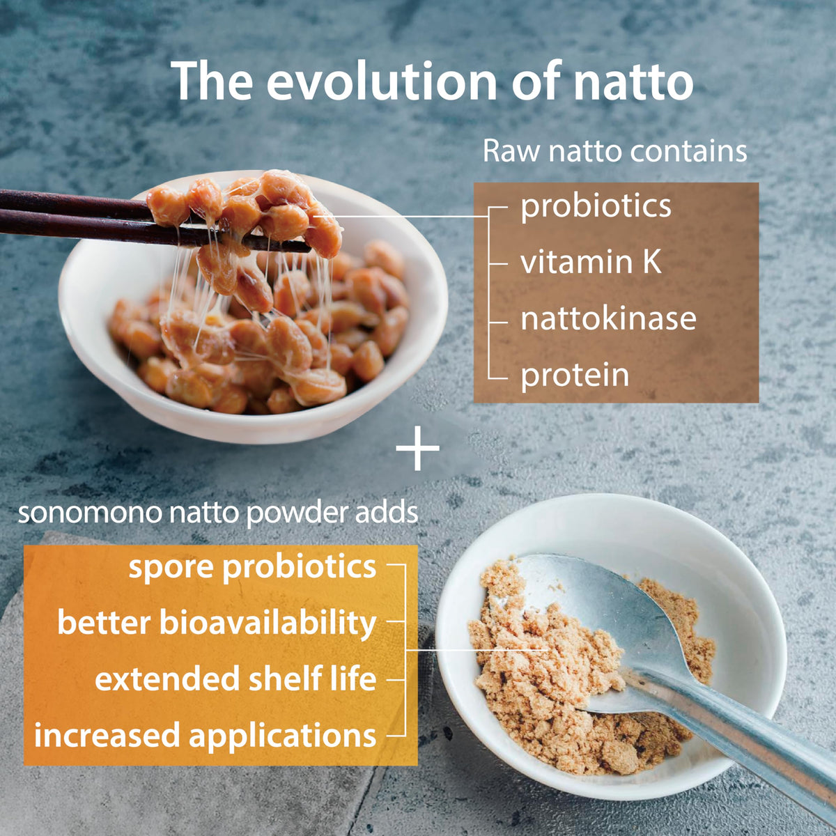 Sonomono Natto Classic powder texture close-up shows fine, powdery consistency.
