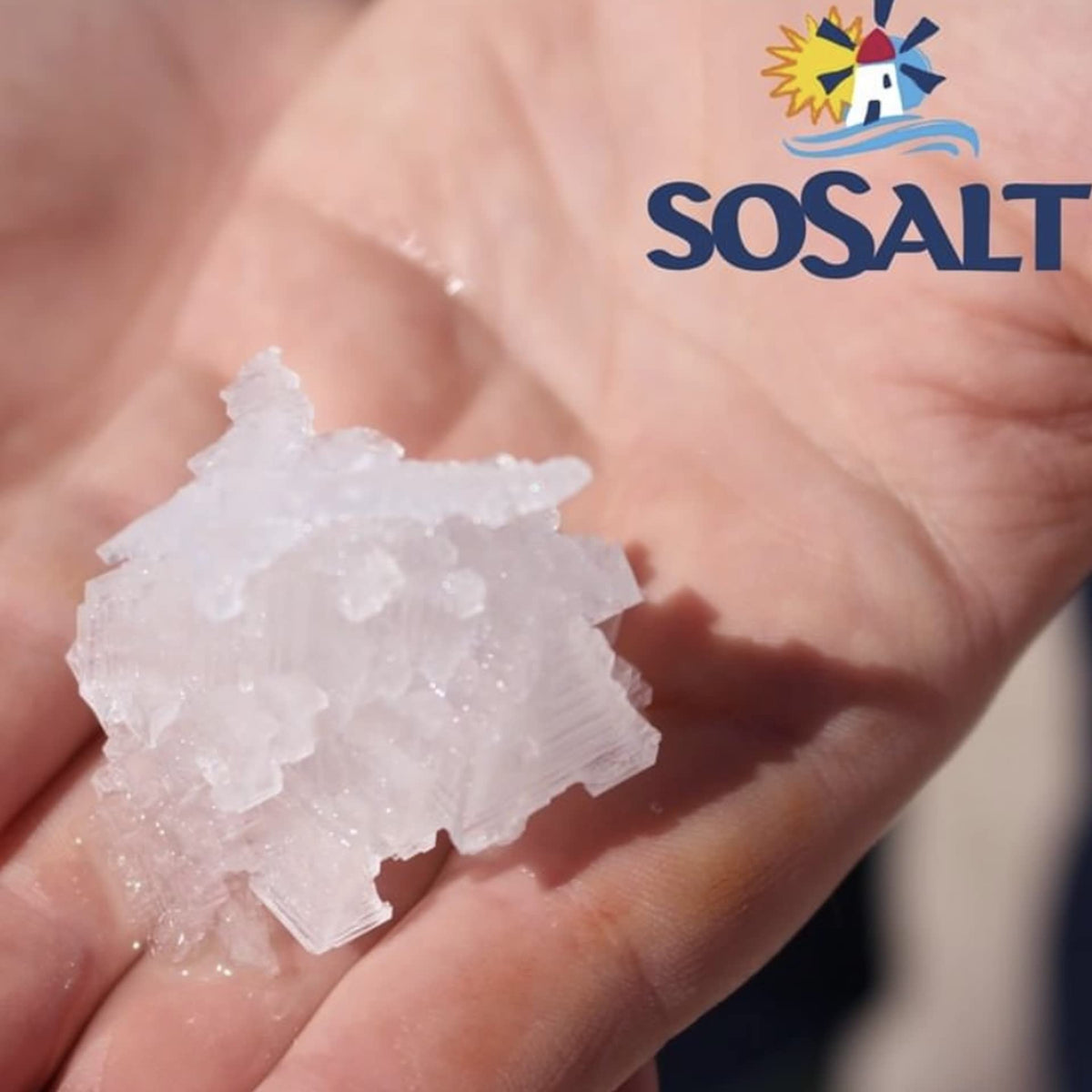 SOSALT Dal Mare di Trapani salt pans along the coast reflect authentic Sicilian production.