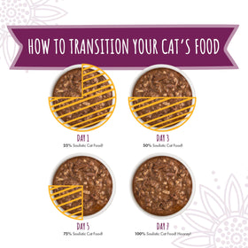 Soulistic Moist and Tender serving suggestion shows pet enjoying a meal