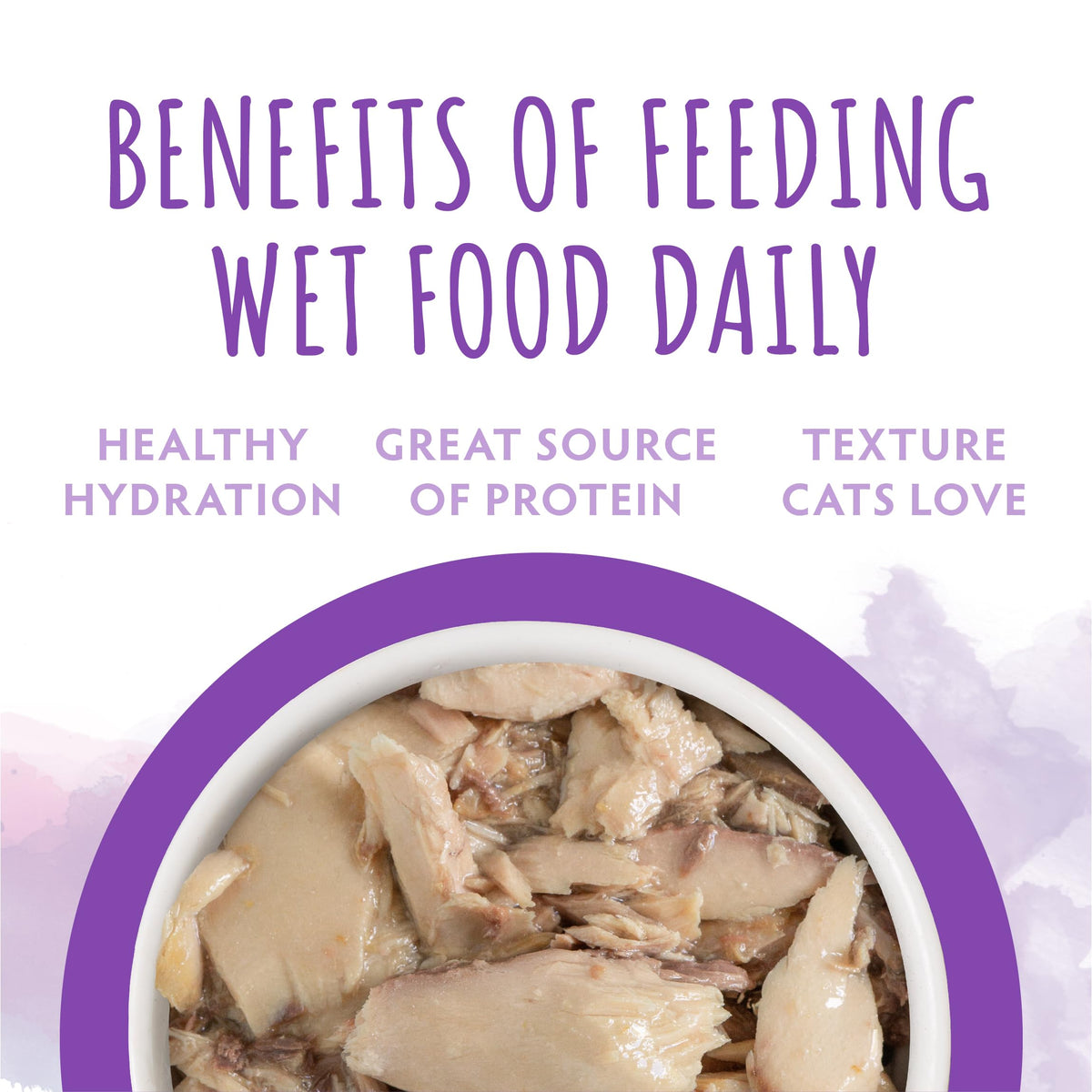 Soulistic tuna dinner can image emphasizing grain-free and natural ingredients.
