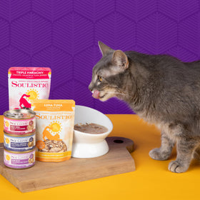 Soulistic Pure Bliss tuna in gravy served as a wholesome adult cat meal.