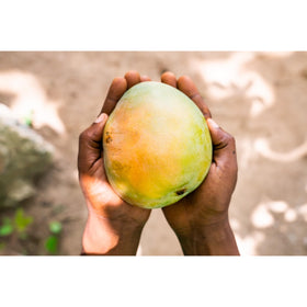 South Forty Snacks vegan organic mango slices, gluten-free and kosher.