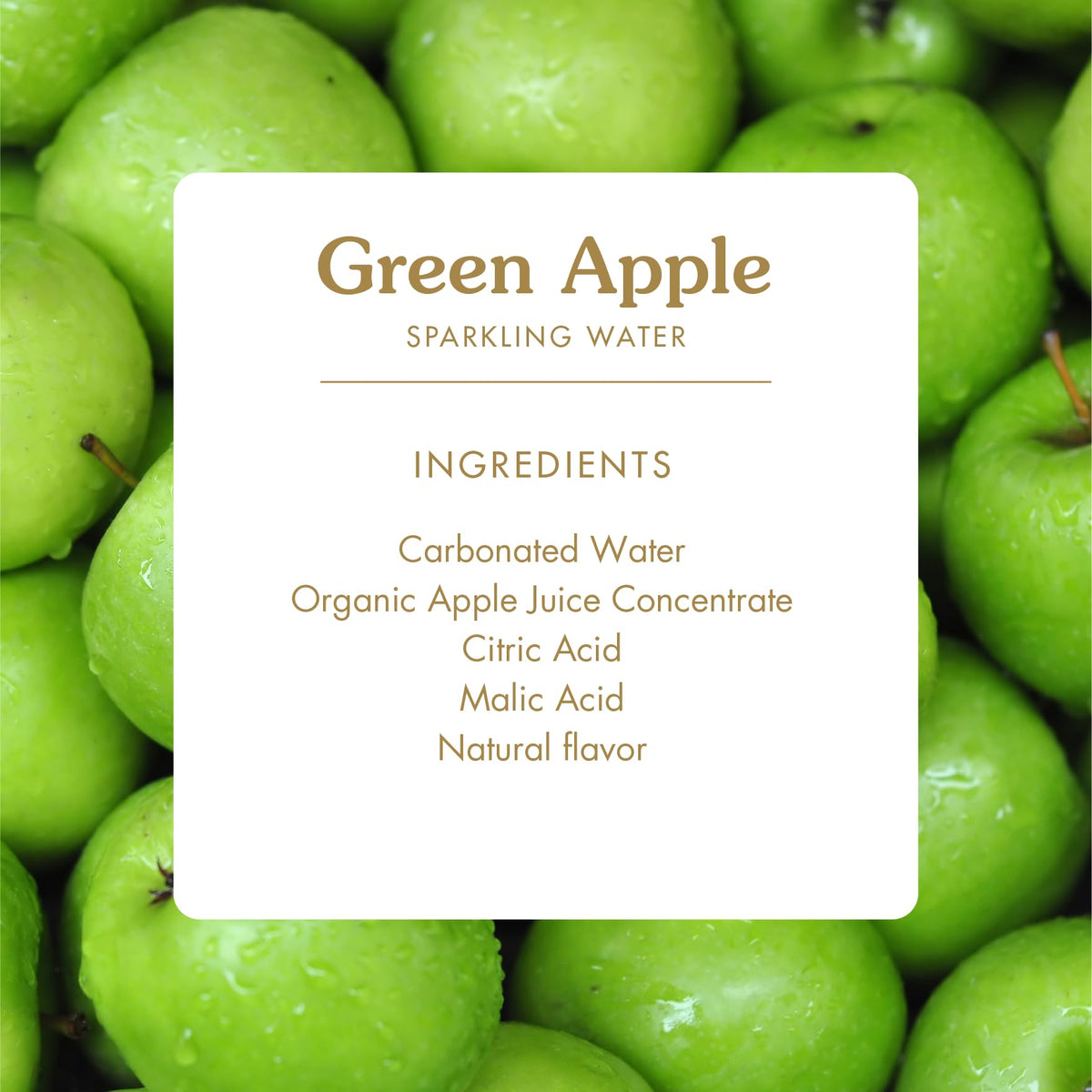 Eco-friendly BPA-free aluminum can packaging supports sustainability.