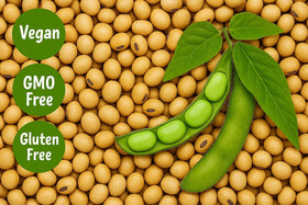 Close-up of SOYFUL Non-GMO dry soybeans showing premium texture for bulk use.