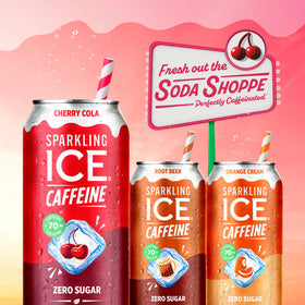 Pack of 12 Sparkling Ice cans ready for gatherings or solo sips.