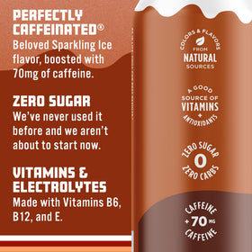 Sparkling Ice Shoppe Root Beer ingredients label close-up emphasizes natural colors.