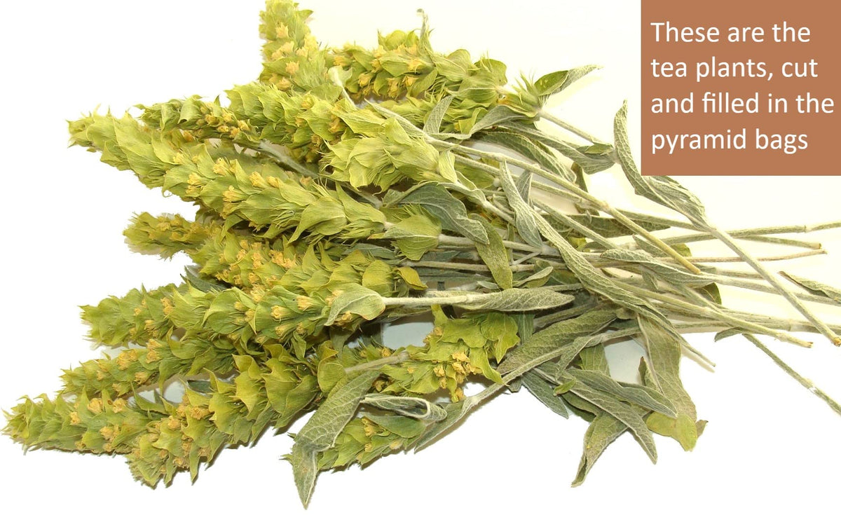 Spartan Natura Organic farming tea supports pure, additive-free sipping.