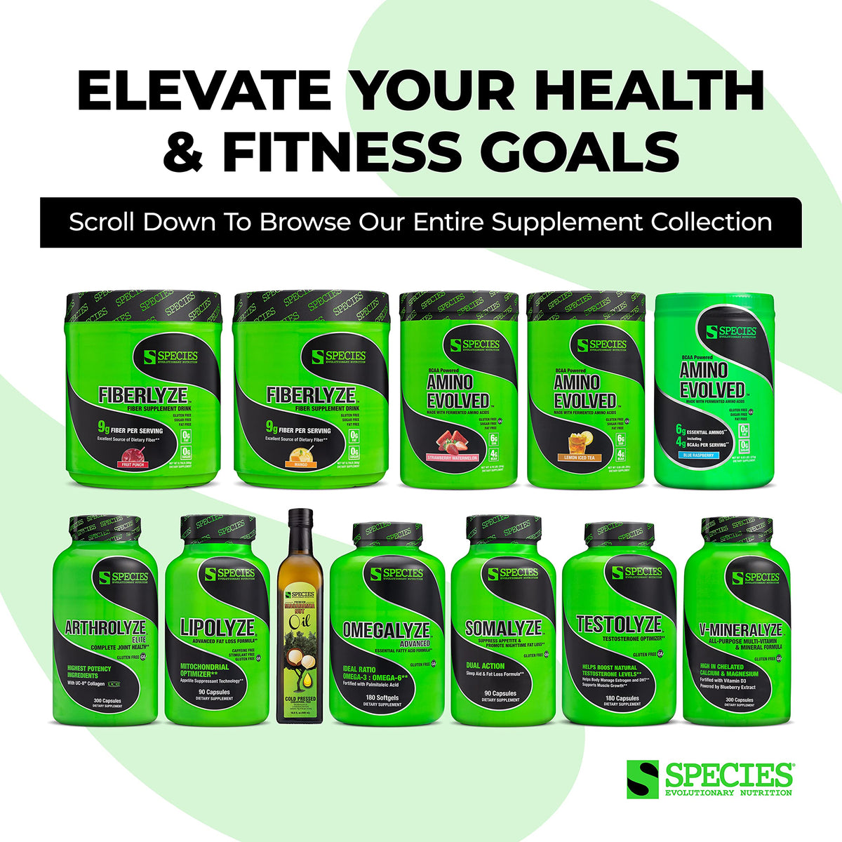 Species Nutrition macadamia oil vitamin-e-rich helps with freshness and flavor retention