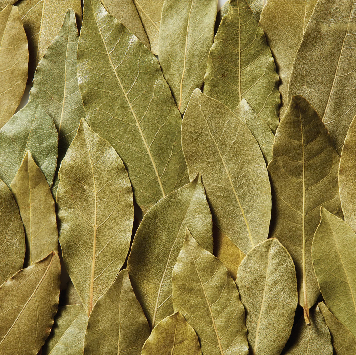 Spice Classics Bay Leaves in kitchen prep supporting consistent seasoning for chefs