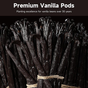 Professional kitchen use of SPICEEL vanilla for desserts and pastries