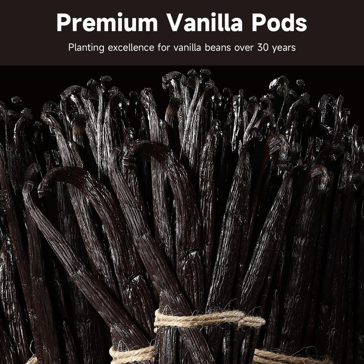 SPICEEL vanilla beans hand-selected and sun-cured for consistent quality.