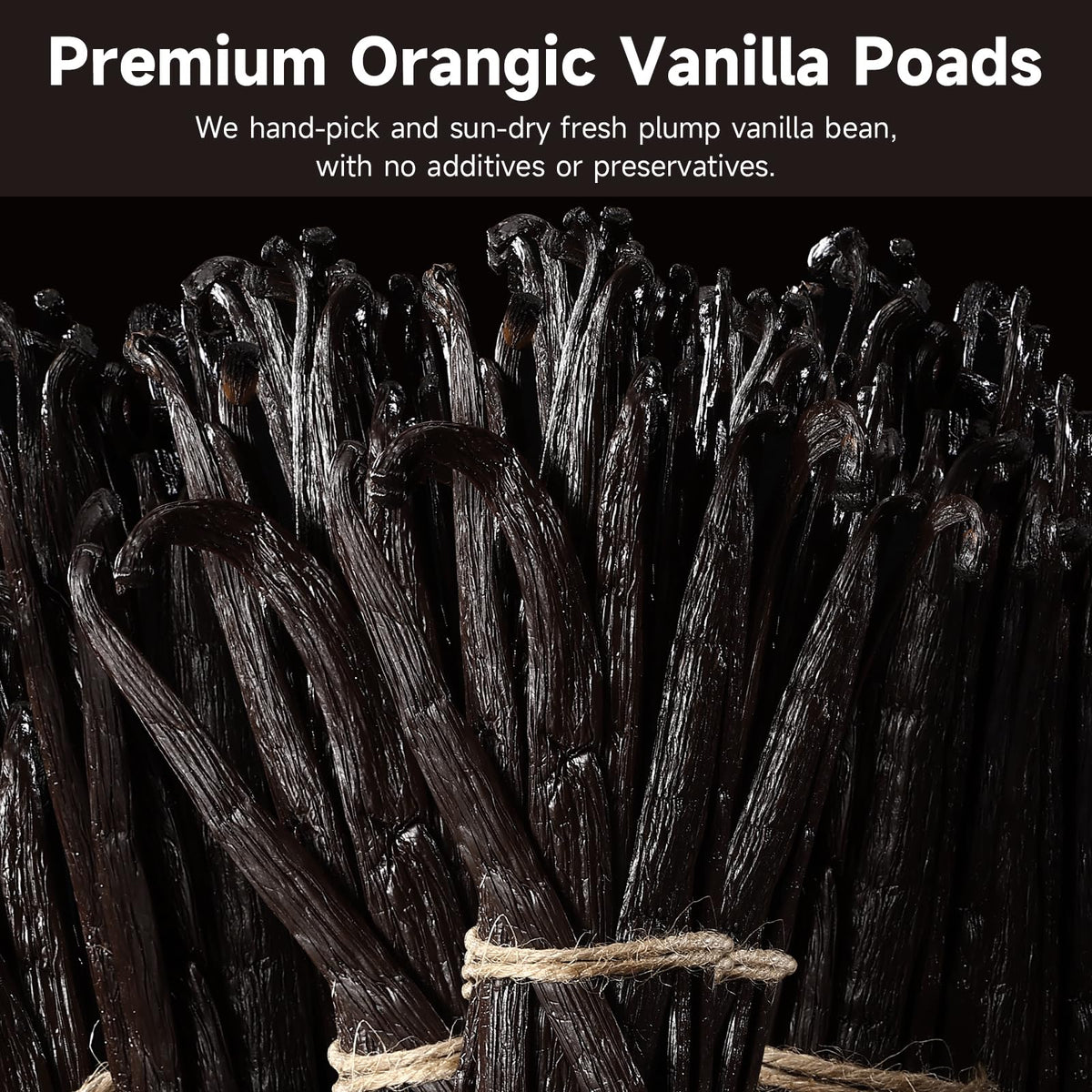 SPICEEL vanilla beans in kitchen add warm aroma to recipes