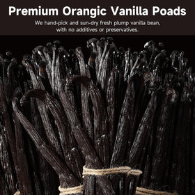 SPICEEL vanilla beans in kitchen add warm aroma to recipes