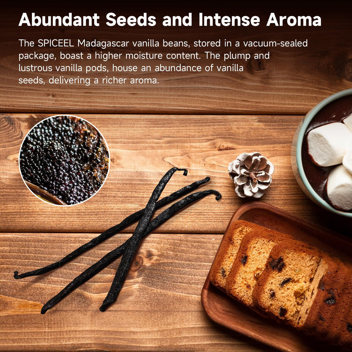 SPICEEL vanilla beans with visible seeds, ideal for homemade vanilla extract