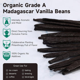 SPICEEL vanilla beans vacuum-sealed package preserves aroma and freshness.