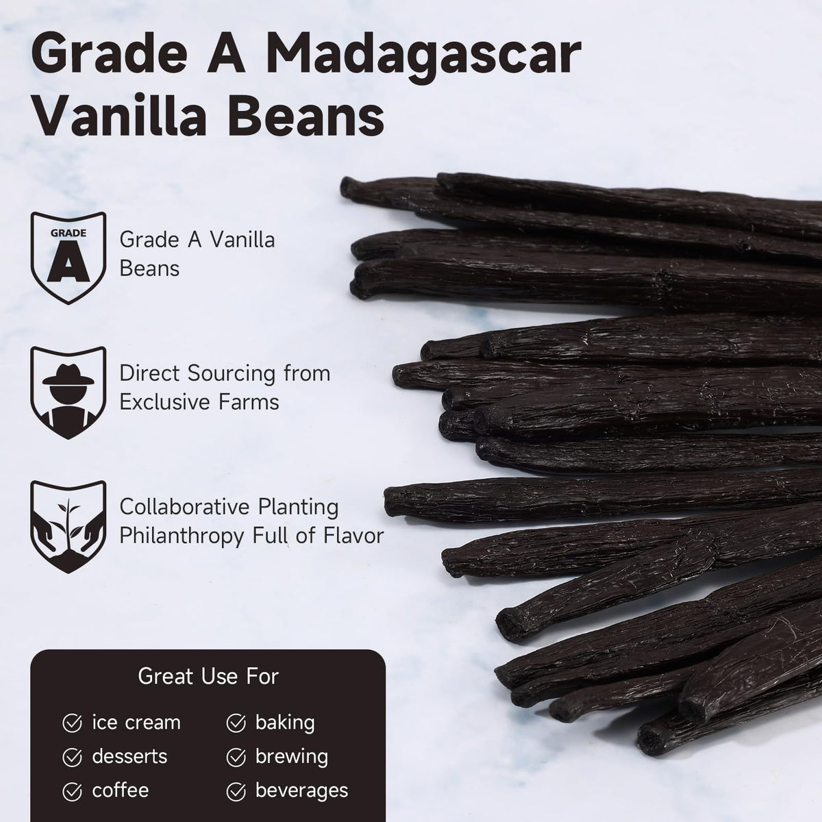 Sealed SPICEEL vanilla pods preserving freshness during transport