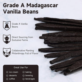 Sealed SPICEEL vanilla pods preserving freshness during transport