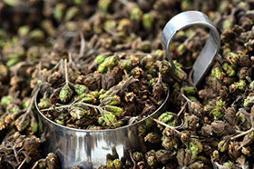Spiceology marjoram in simmering soup pot conveying comforting herbal depth.