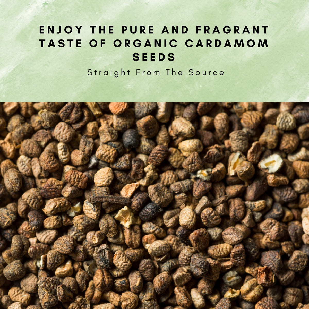 SPICY ORGANIC cardamom seeds in spice jar for freshness.