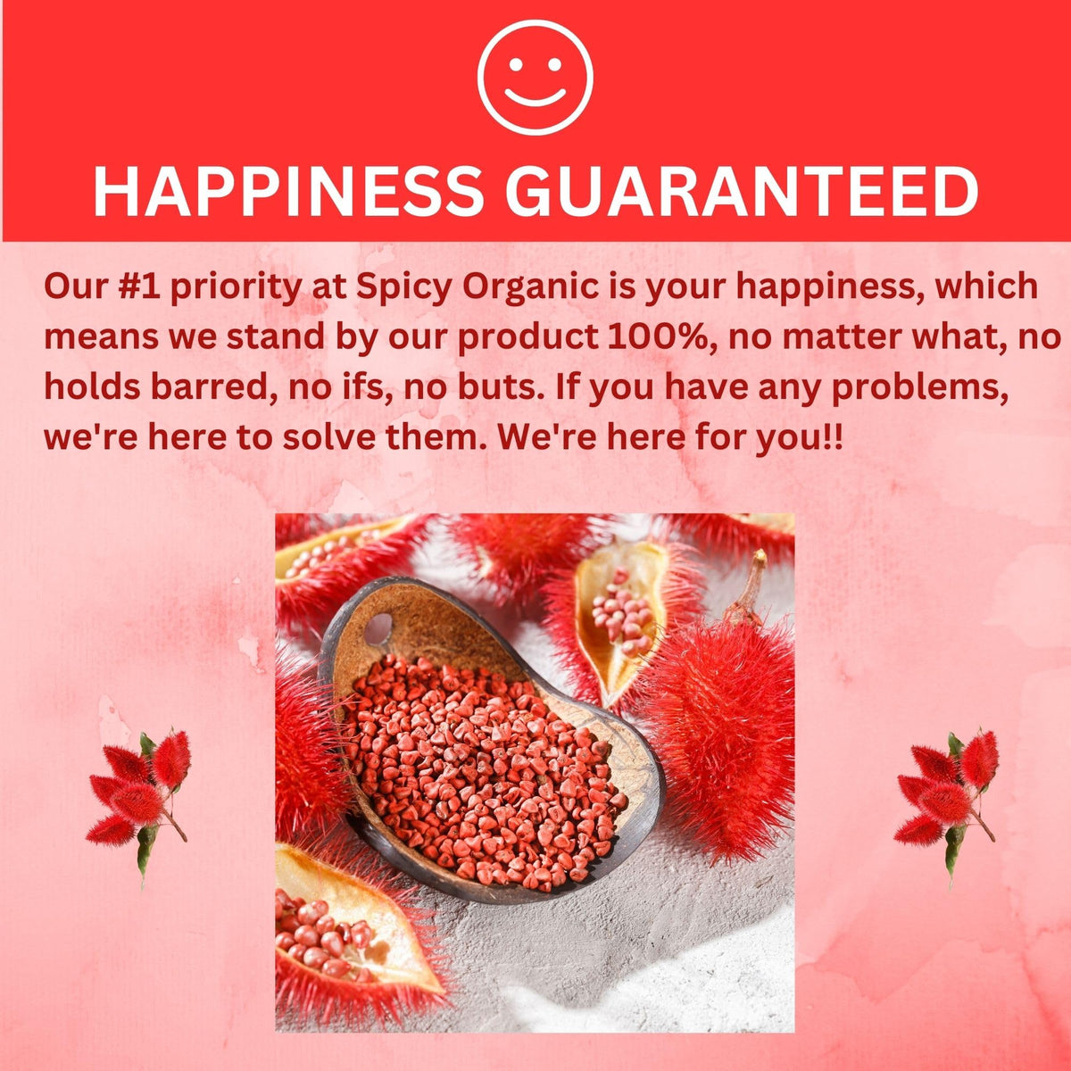 SPICY ORGANIC recipe card shows annatto usage in Latin flavors.