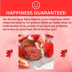 SPICY ORGANIC recipe card shows annatto usage in Latin flavors.