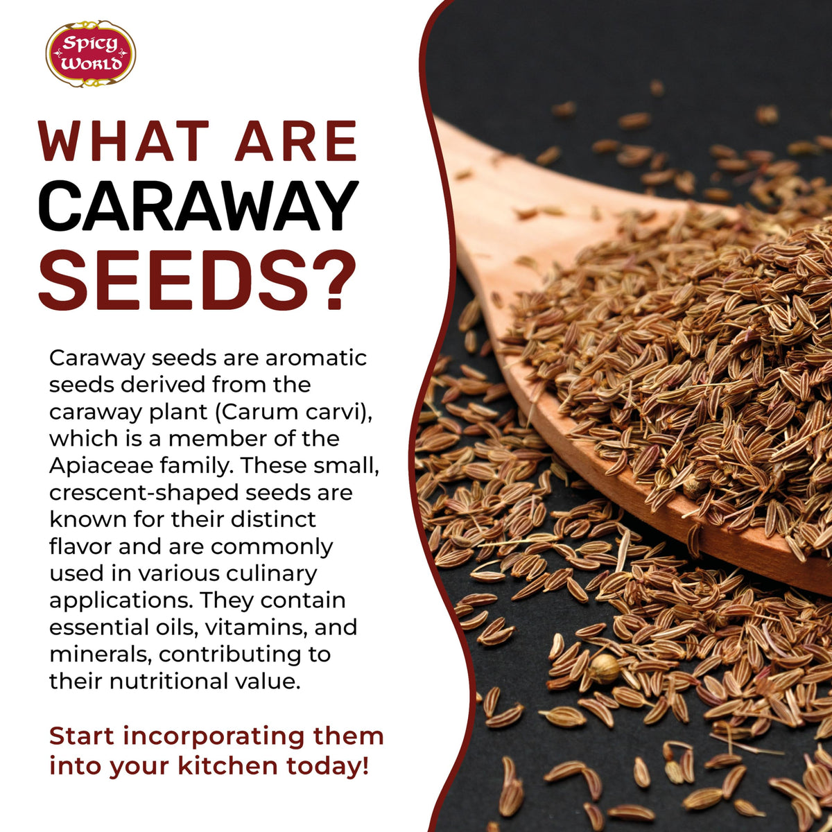 Spicy World caraway seeds closeup shows glossy seeds with natural texture