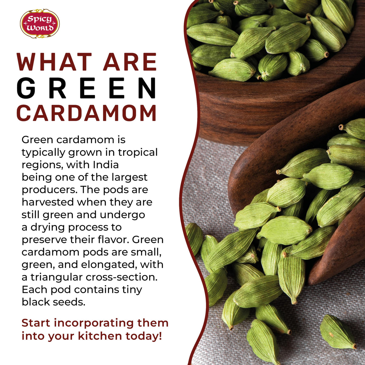 Spicy World cardamom pods steeping in a tea cup, hinting fragrant warmth.