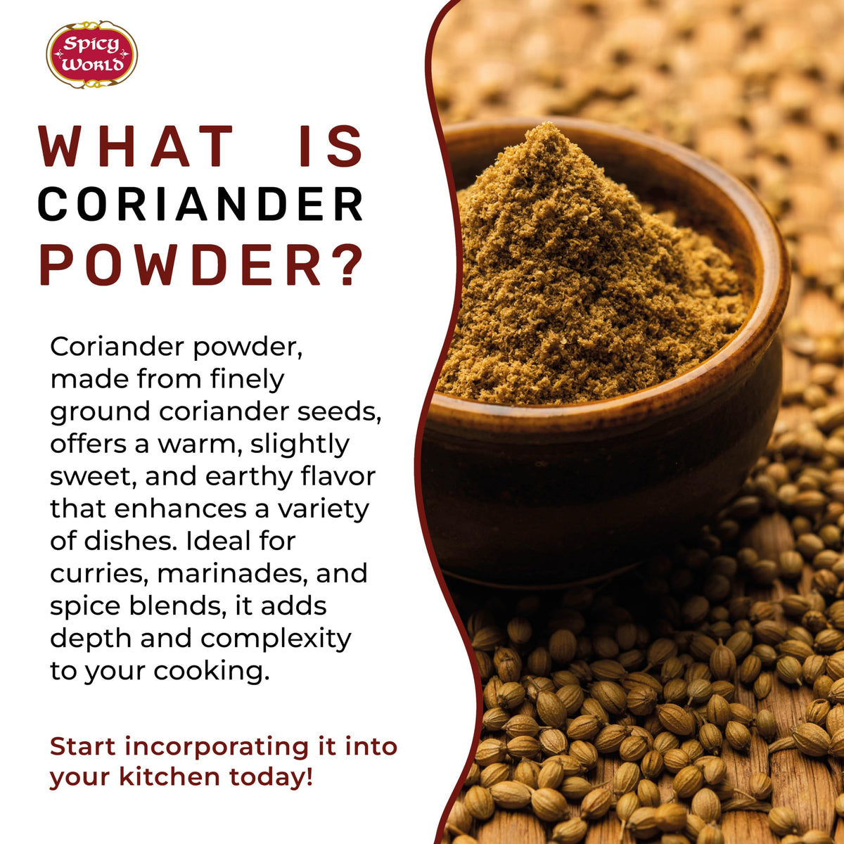 Spicy World coriander powder texture close-up, fine grind