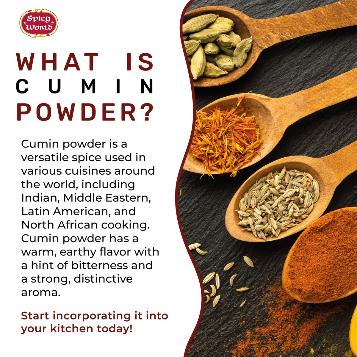 Glass jar of Spicy World cumin powder beside curries for bold flavor