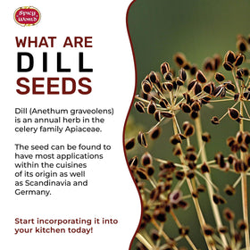 Spicy World dill seeds closeup of seeds detail for aroma