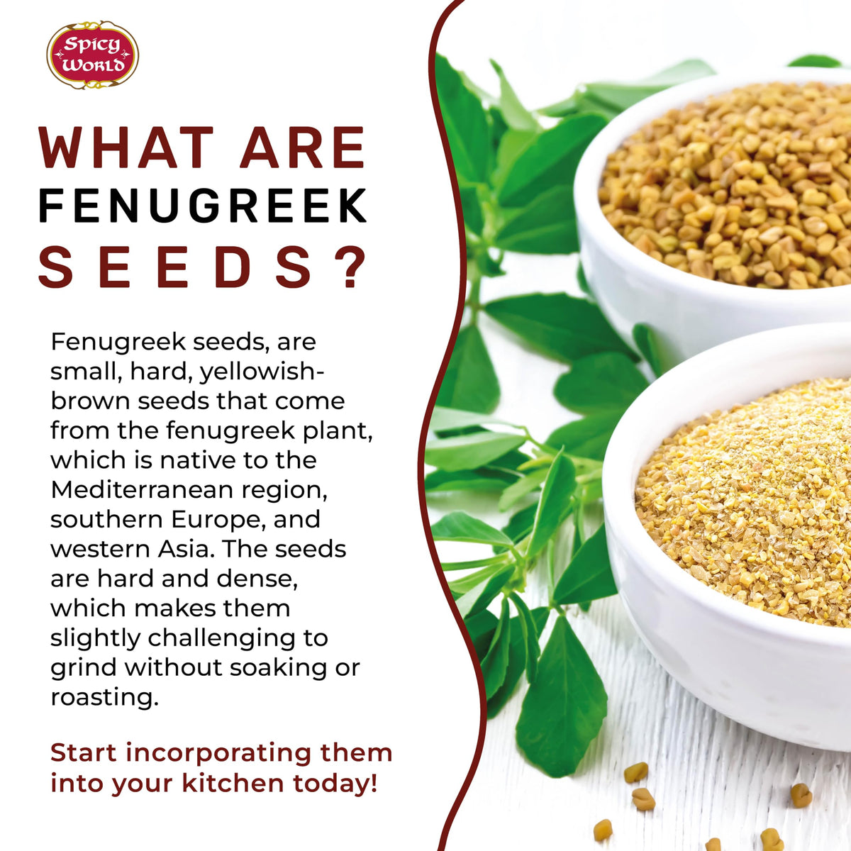 Spicy World fenugreek seeds used in tea blends to add aromatic depth.