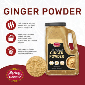 Spicy World Ginger Powder with measuring spoon showing portion control.