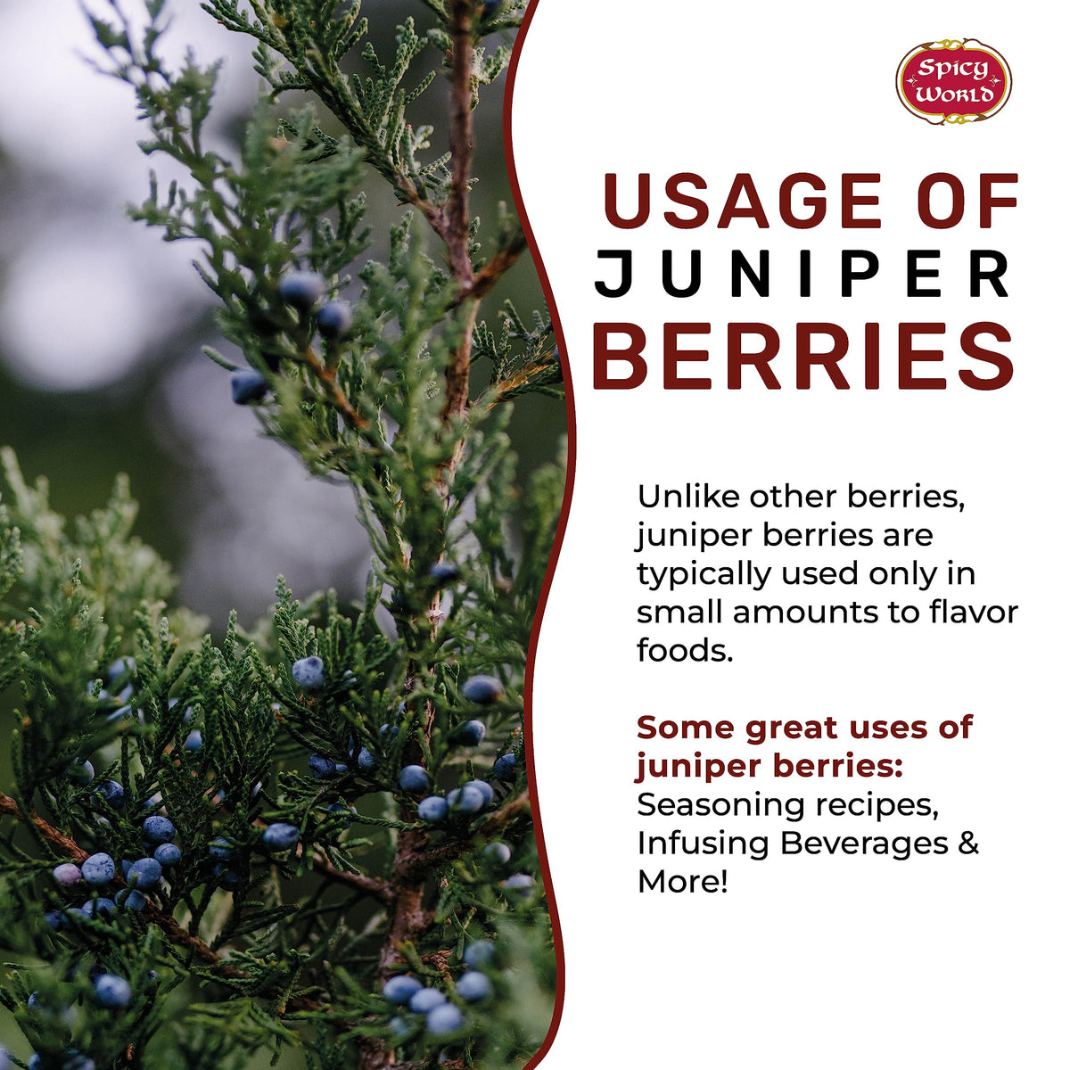 Spicy World juniper berries used as cocktail mixer.