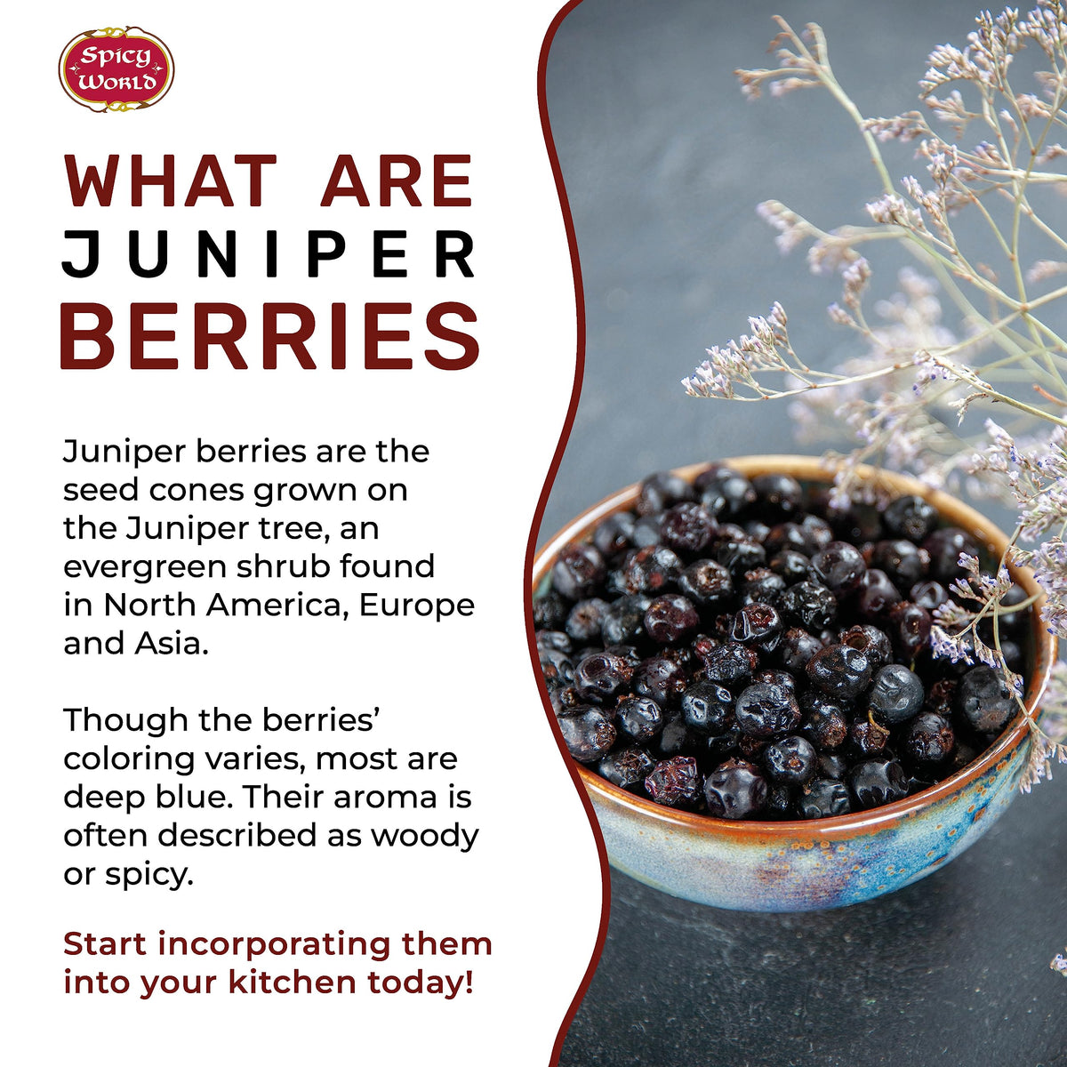 Spicy World juniper berries tea infusion with fragrant aroma.