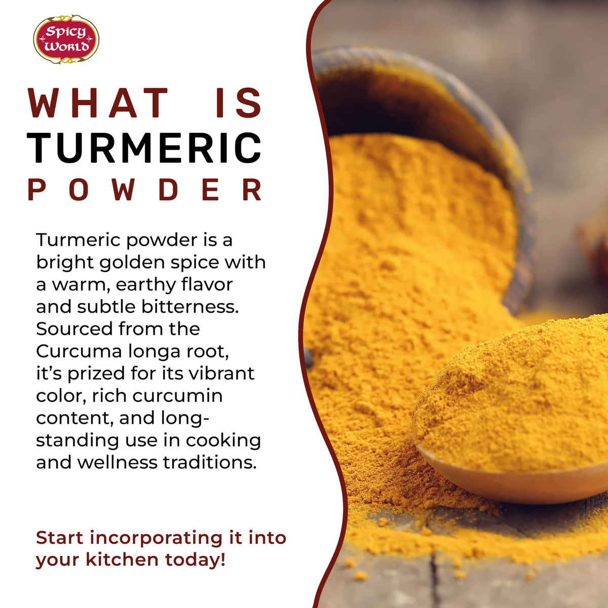 Spicy World Turmeric Powder curry dish showcases a vibrant, warm hue.