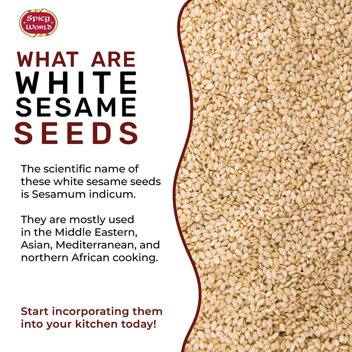 Spicy World white sesame seeds in a baking setup ready to mix
