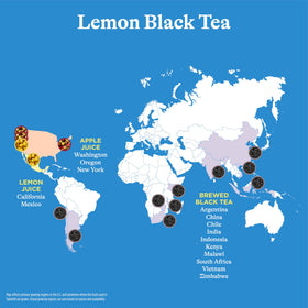 Spindrift Lemon Black Tea can back reveals ingredients and non-carbonated, smooth tea experience.