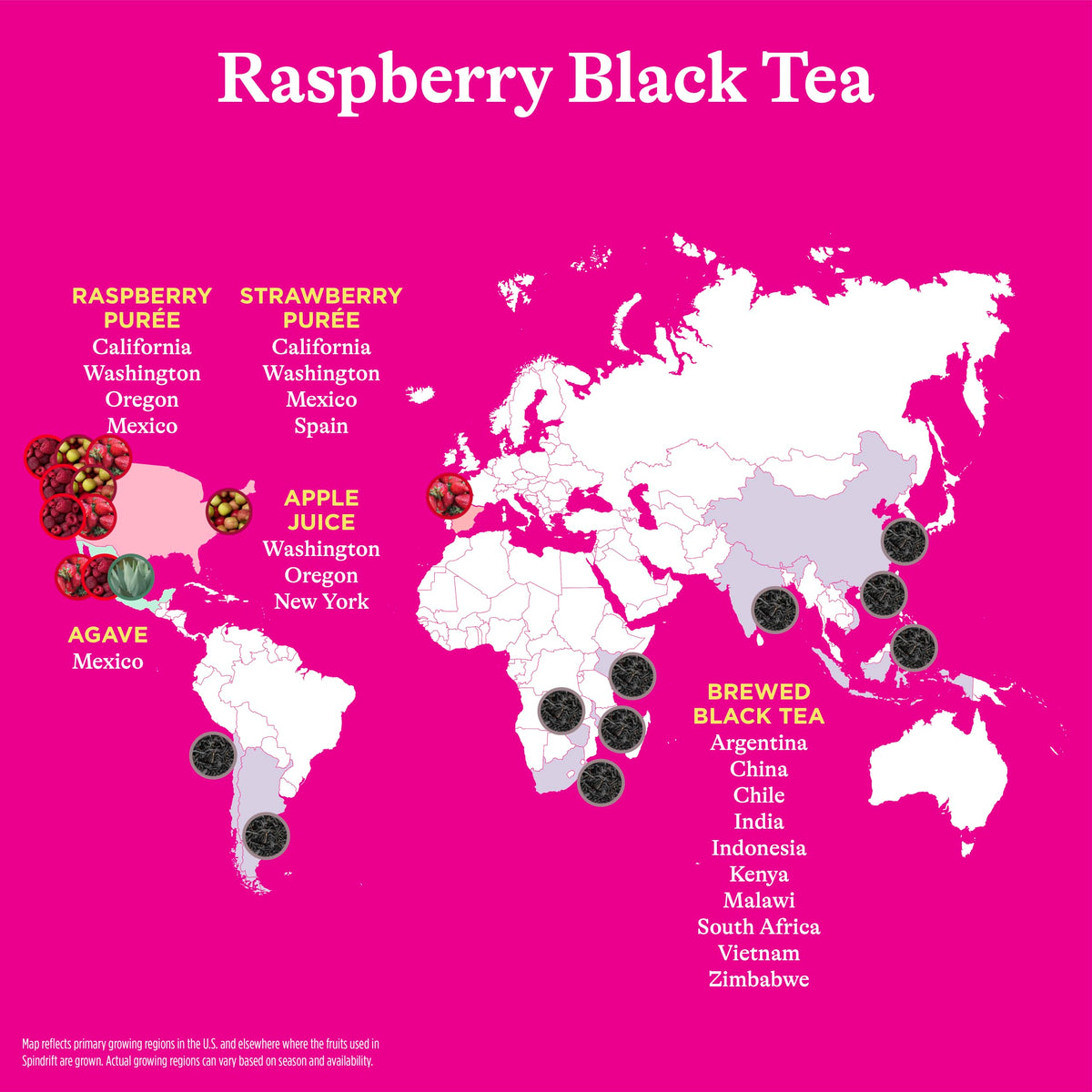 Spindrift Raspberry Black Tea being poured, smooth non-carbonated flavor