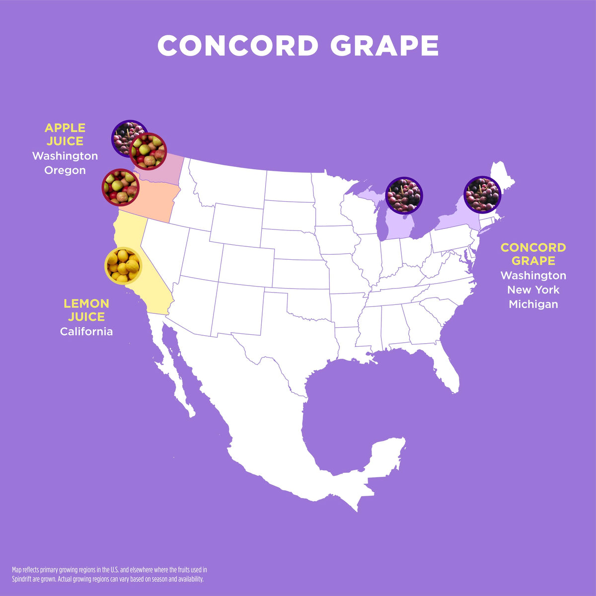 Spindrift Concord Freeze can close-up shows real fruit, crisp carbonation