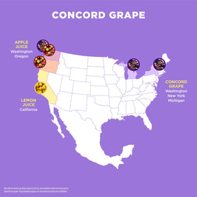 Spindrift Concord Freeze can close-up shows real fruit, crisp carbonation