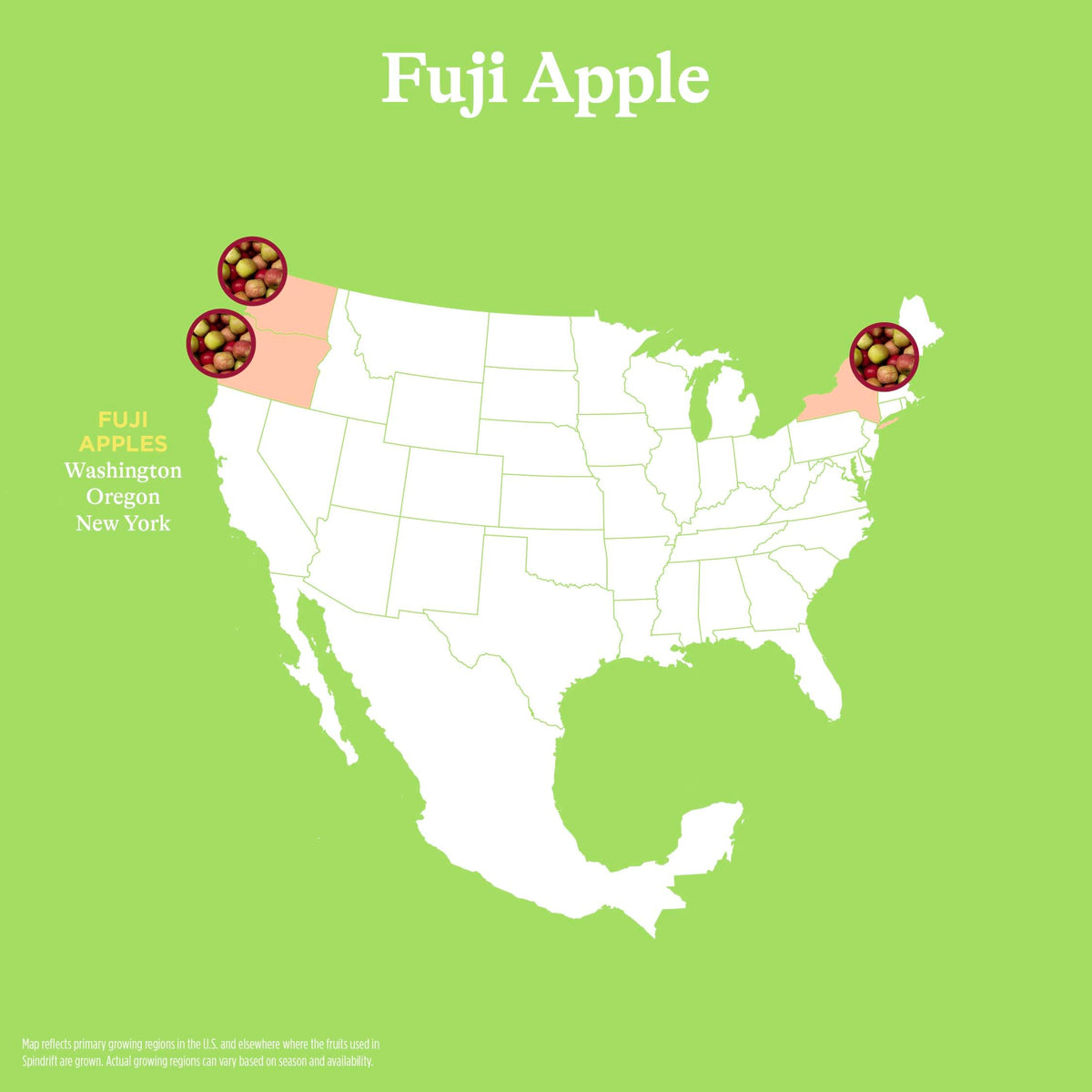Spindrift Fuji Apple label closeup highlighting natural ingredients and fruit juice.