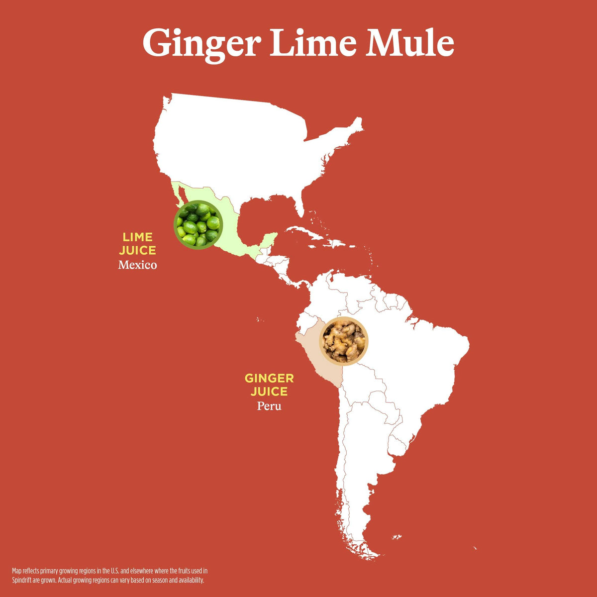 Spindrift Ginger Lime Mule label close-up emphasizes real fruit and no concentrates.