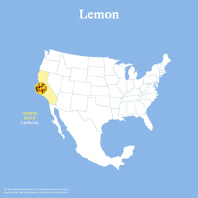 Spindrift Lemon can closeup highlighting real squeezed lemons, a refreshing option.