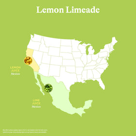Spindrift Lemon Limeade closeup of fruit reveals natural flavor without added sugar