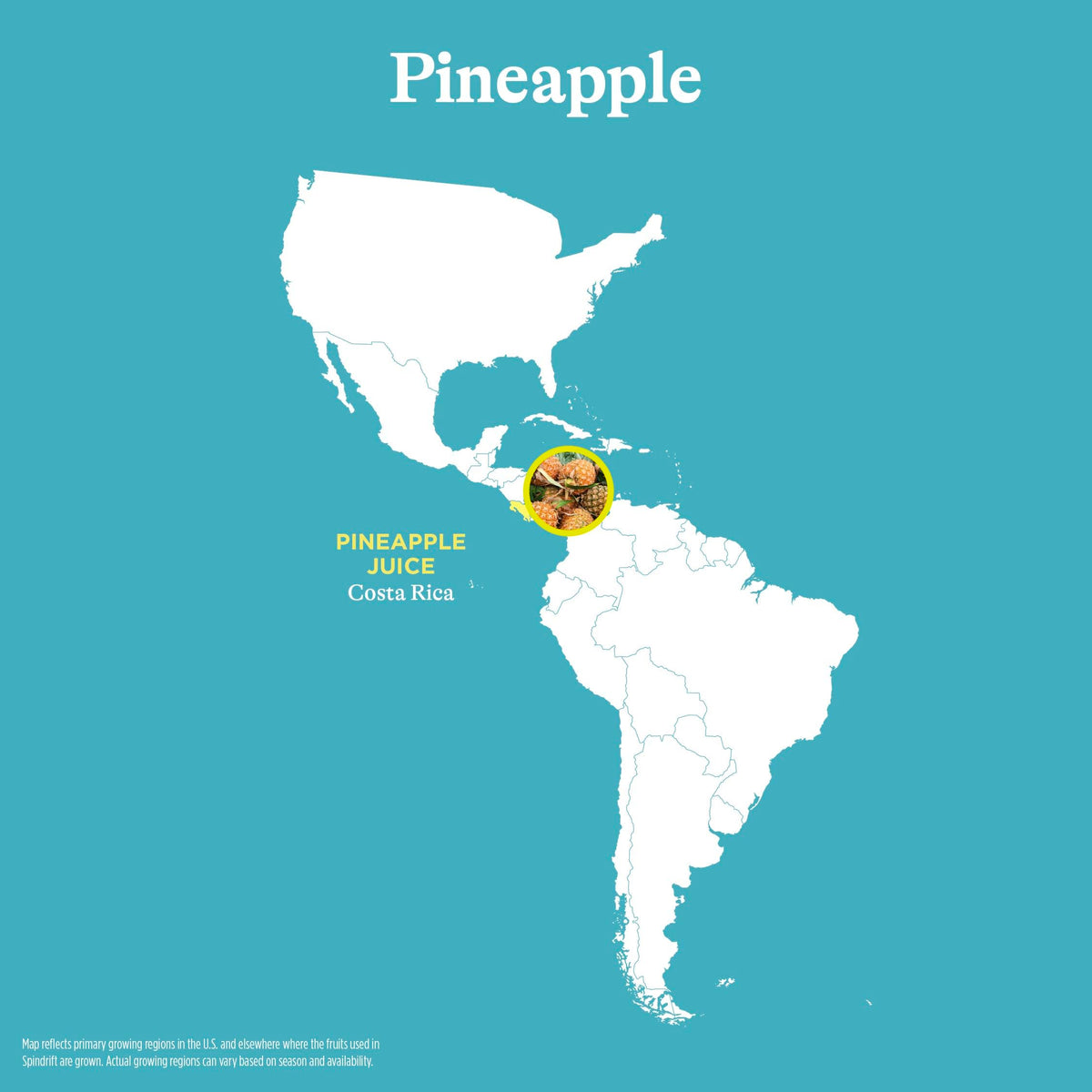 Spindrift Pineapple can side view highlighting calories per can