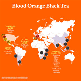 Spindrift Real Fruit Tea pour showing tea and citrus blend