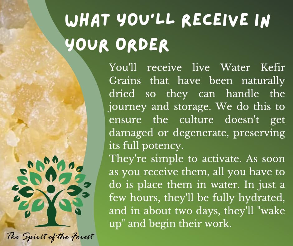 The Spirit Of The Forest dairy-free kefir grains producing lactose-free beverages.
